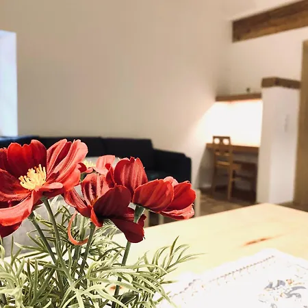 Ferienwohnung Steinerwirt St. Martin bei Lofer Sankt Martin bei Lofer Exterior foto