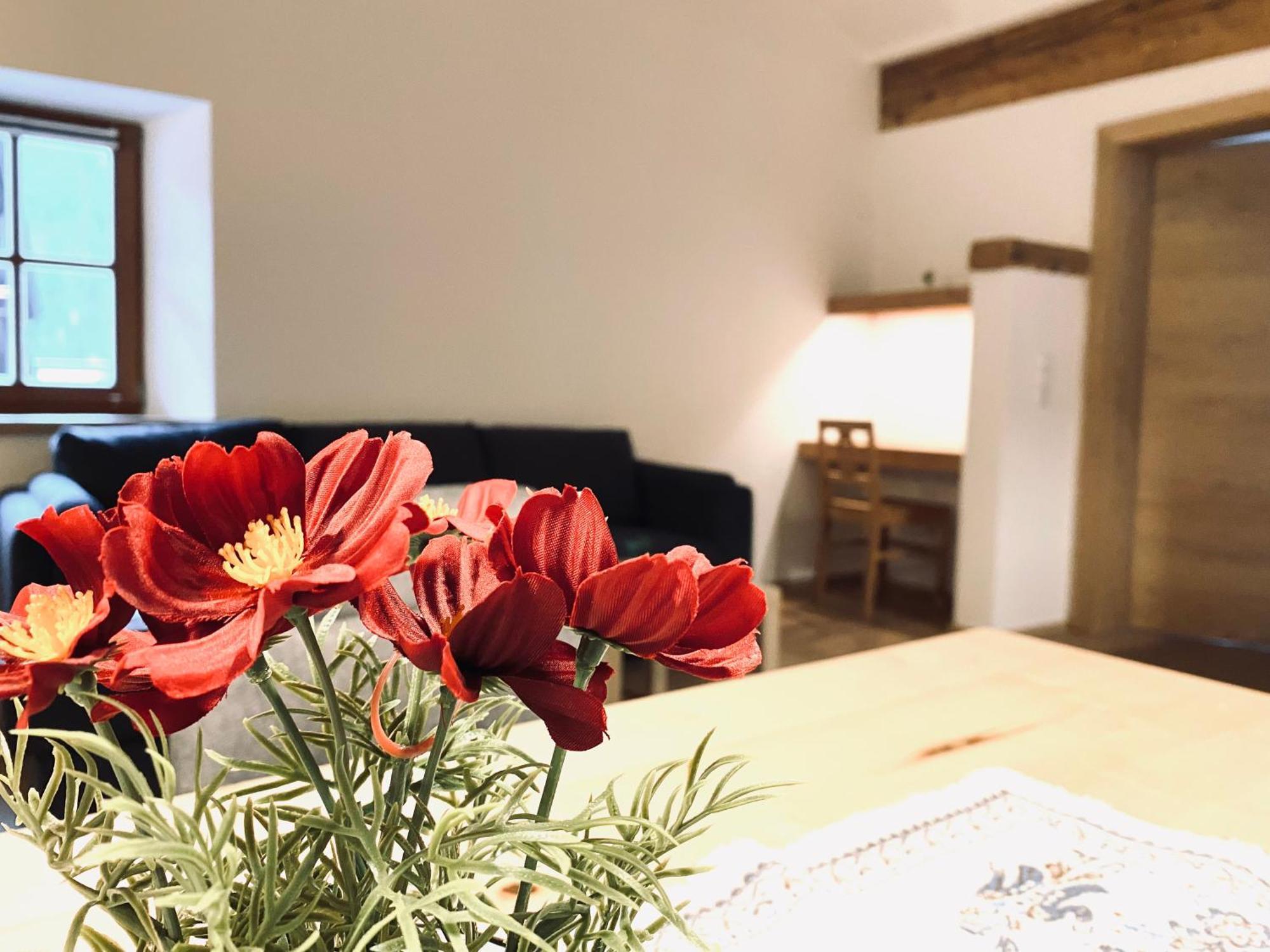 Steinergut Appartement Sankt Martin bei Lofer